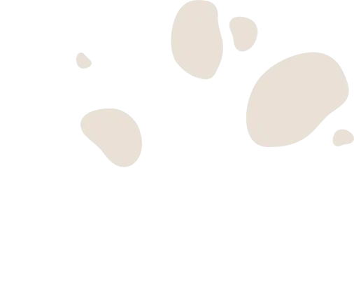 Taches du fond du logo